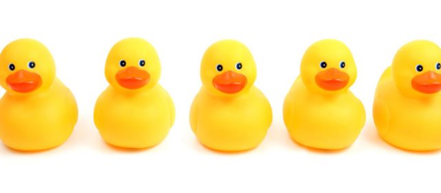 5 Things I’ve Learned in a Year of Digital Marketing